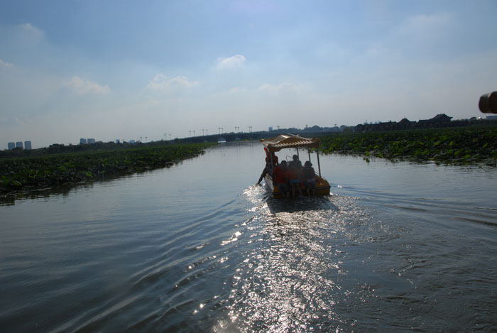 Ϧ�(y��ng)������ӭ�������ϰ�